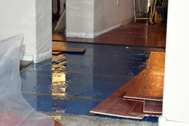 Professional Water Damage Restoration technician working in Everglades City, FL